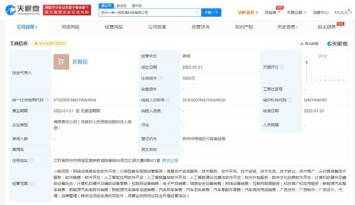 應用軟件服務 數(shù)字化轉型時代的企業(yè)引擎