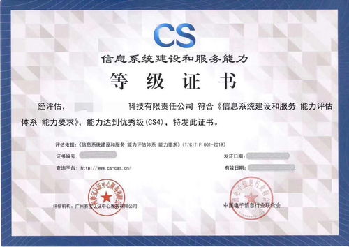 CS信息系統建設與服務能力評估體系在信息技術咨詢中的應用
