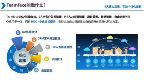 大型集團(tuán)企業(yè)信息化建設(shè) 源代碼采購(gòu)與二次開發(fā)的戰(zhàn)略抉擇